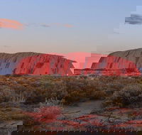 3-Day Uluru Camping Tour from Alice Springs Including Kata Tjuta and Kings Canyon - Darwin Holiday