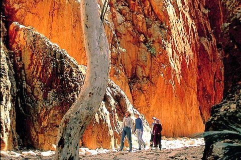 West MacDonnell Ranges Day Trip From Alice Springs - Darwin Holiday 7