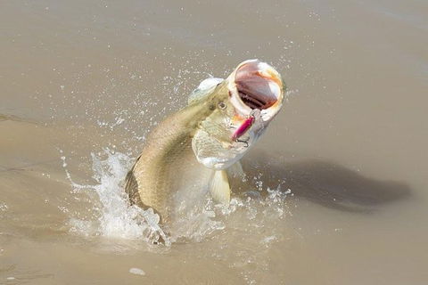 Multi-Day Fishing Safari From Darwin Staying Aboard A Mother Ship - Darwin Holiday 8