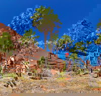 Palm Valley 4WD Tour from Alice Springs - Darwin Holiday