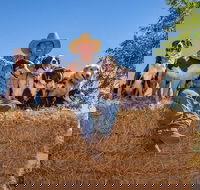 Skip-the-Line Katherine Outback Experience Show Ticket - Darwin Holiday