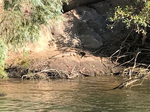 Nitmiluk (Katherine) Gorge 3.5-Hour Sunset Dinner Boat Tour - Darwin Holiday 4