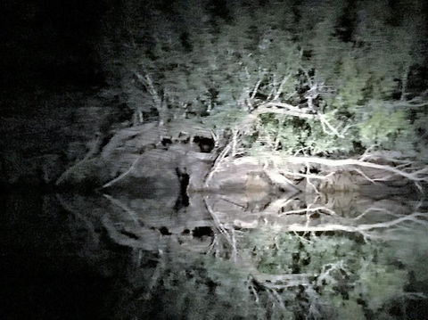 Nitmiluk (Katherine) Gorge 3.5-Hour Sunset Dinner Boat Tour - Darwin Holiday 8