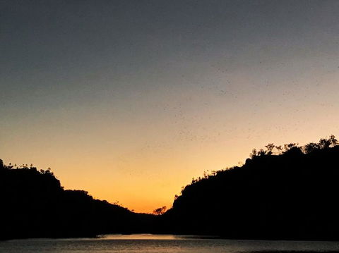 Nitmiluk (Katherine) Gorge 3.5-Hour Sunset Dinner Boat Tour - Darwin Holiday 9