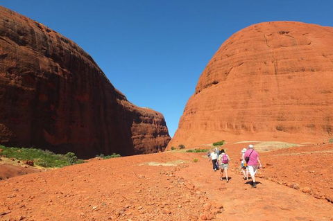 Overnight Uluru (Ayers Rock) Small-Group Camping Tour - Darwin Holiday 6