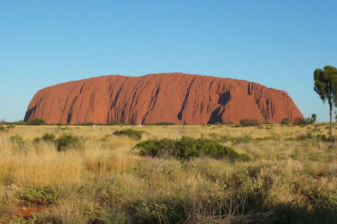 Overnight Uluru (Ayers Rock) Small-Group Camping Tour - Darwin Holiday 8