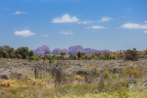 Overnight Uluru (Ayers Rock) Small-Group Camping Tour - Darwin Holiday 15