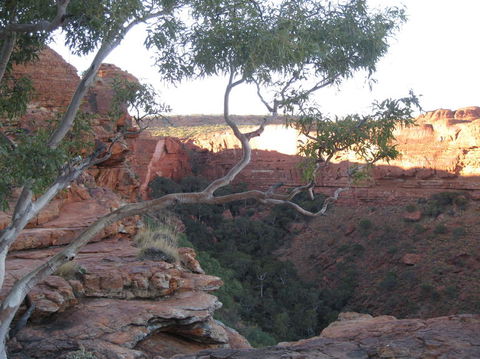 3-Day Uluru And Kings Canyon Camping Experience From Alice Springs Including Outback BBQ Dinner - Darwin Holiday 1