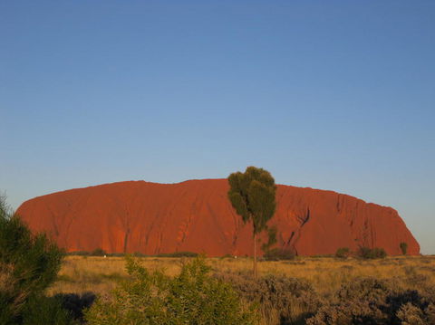 3-Day Uluru And Kings Canyon Camping Experience From Alice Springs Including Outback BBQ Dinner - Darwin Holiday 4