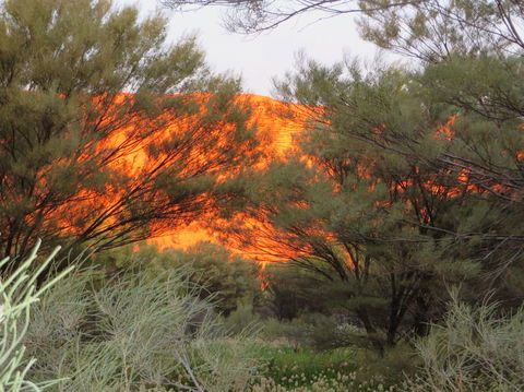 3-Day Ayers Rock, Olgas And Kings Canyon Camping Safari - Darwin Holiday 6