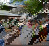 Alice Springs Walking Tours - Darwin Holiday