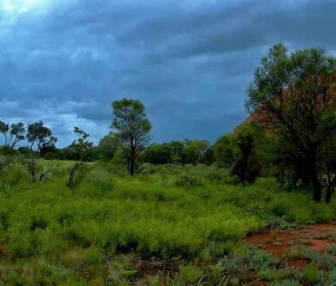 3-Day Ayers Rock To Alice Springs Camping Tour Including Kings Canyon, Kata Tjuta And Uluru - Darwin Holiday 11