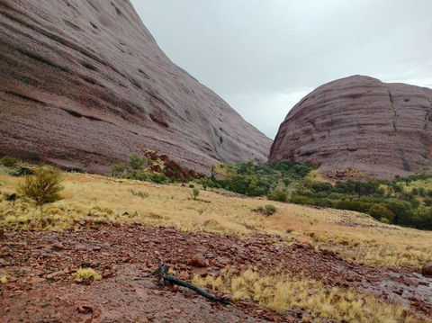 3-Day Ayers Rock To Alice Springs Camping Tour Including Kings Canyon, Kata Tjuta And Uluru - Darwin Holiday 4