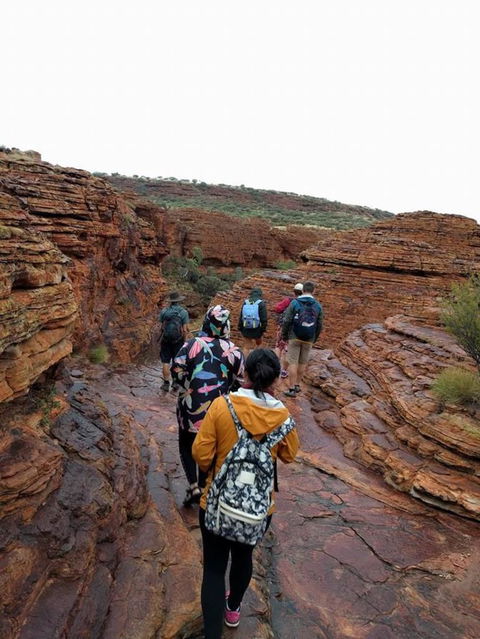 3-Day Ayers Rock To Alice Springs Camping Tour Including Kings Canyon, Kata Tjuta And Uluru - Darwin Holiday 6