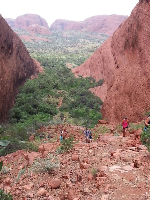 3-Day Ayers Rock To Alice Springs Camping Tour Including Kings Canyon, Kata Tjuta And Uluru - Darwin Holiday 7