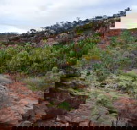 Palm Valley and Hermannsburg 1 Day 4WD Tour - Darwin Holiday