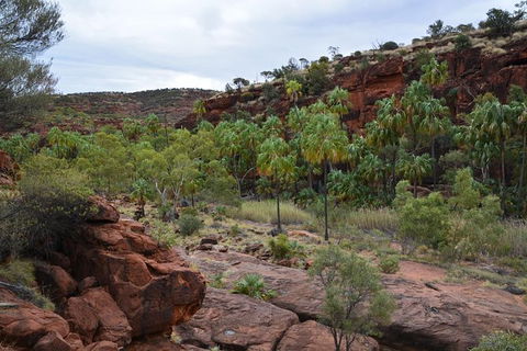 Palm Valley And Hermannsburg 1 Day 4WD Tour - Darwin Holiday 8
