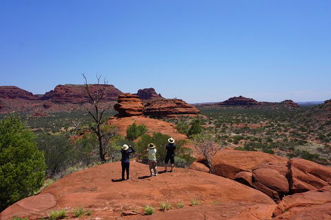 Palm Valley And Hermannsburg 1 Day 4WD Tour - Darwin Holiday 2