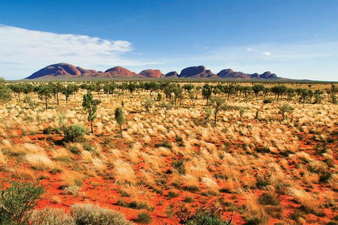 2-Day Uluru (Ayers Rock) And Kata Tjuta Trip From Alice Springs - Darwin Holiday 9