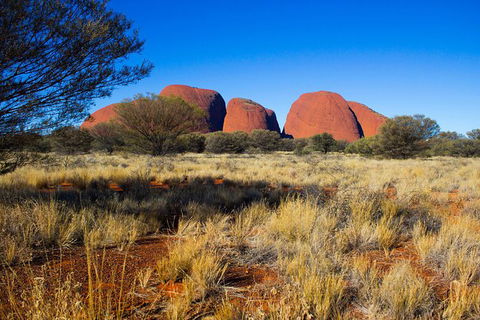 Kata Tjuta Sunrise And Valley Of The Winds Half-Day Trip - Darwin Holiday 11