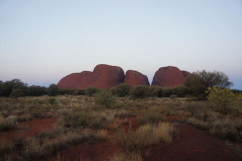 Kata Tjuta Sunset Half Day Trip - Darwin Holiday 4
