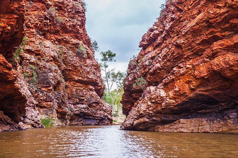 Uluru (Ayers Rock) To Alice Springs One-Way Shuttle - Darwin Holiday 9