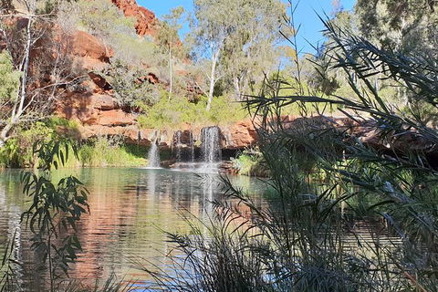 20 Day Darwin To Perth Adventure - Darwin Holiday 10