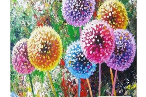 Dandelions - Six Tanks 3.00-5.00pm - Darwin Holiday 0