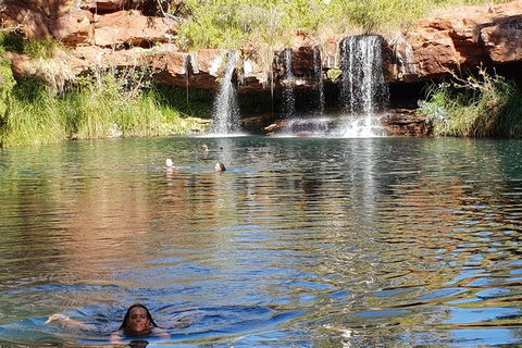 20 Day Darwin To Perth Adventure - Darwin Holiday 6