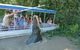 Jumping Croc Cruise - thumb 1