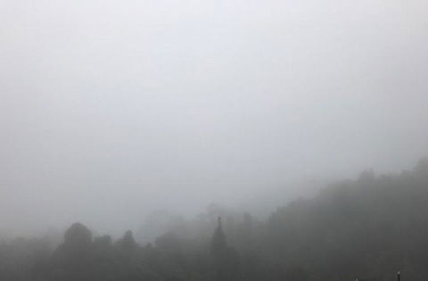 All Inclusive Blue Mountains Small-Group Day Trip From Sydney - Darwin Holiday 20