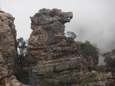 All Inclusive Blue Mountains Small-Group Day Trip From Sydney - Darwin Holiday 6