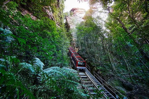 All Inclusive Blue Mountains Small-Group Day Trip From Sydney - Darwin Holiday 27