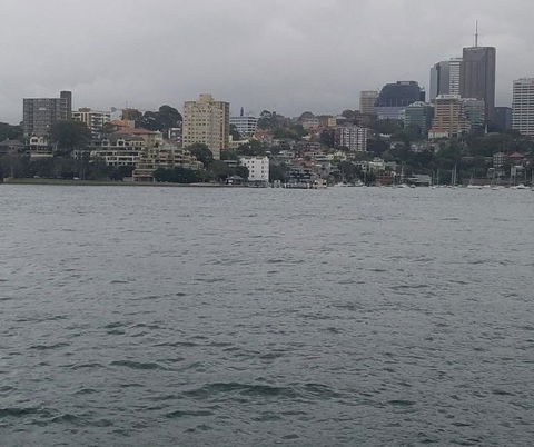 Big Bus Sydney And Bondi Hop-on Hop-off Tour - Darwin Holiday 6