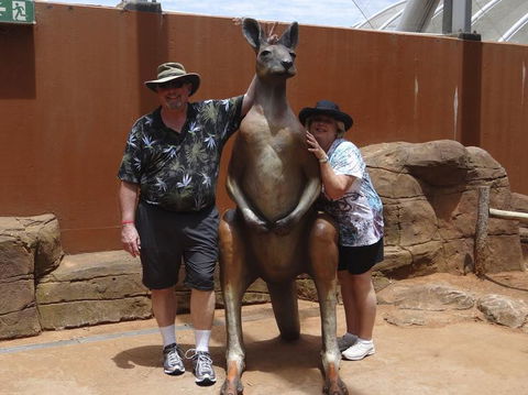 Big Bus Sydney And Bondi Hop-on Hop-off Tour - Darwin Holiday 2