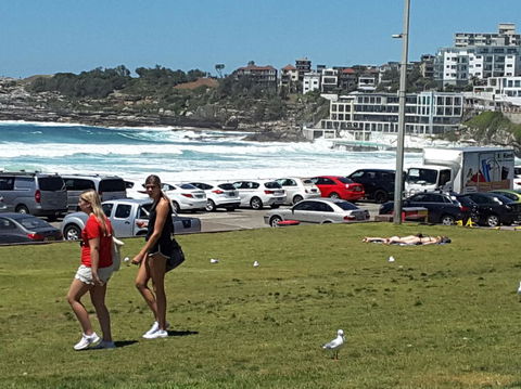 Big Bus Sydney And Bondi Hop-on Hop-off Tour - Darwin Holiday 12