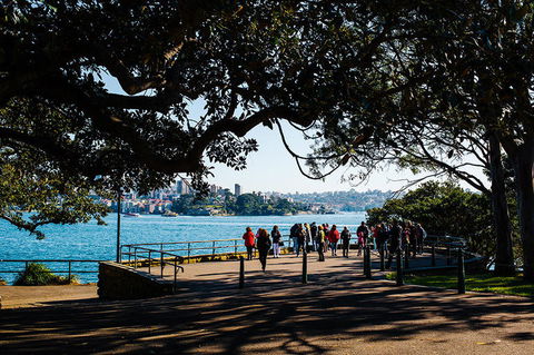 2-Day Combo: Sydney City Tour, Sydney Harbour Lunch Cruise And Blue Mountains Day Trip - Darwin Holiday 2