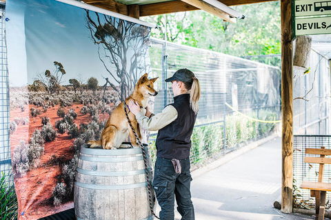 2-Day Combo: Sydney City Tour, Sydney Harbour Lunch Cruise And Blue Mountains Day Trip - Darwin Holiday 18