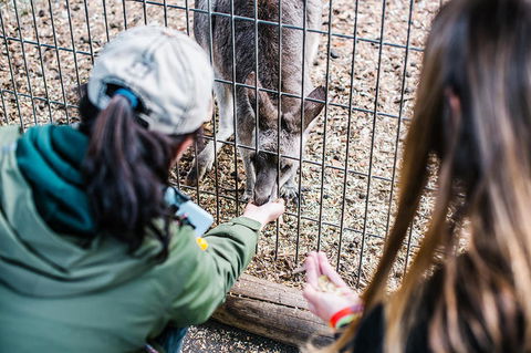 2-Day Combo: Sydney City Tour, Sydney Harbour Lunch Cruise And Blue Mountains Day Trip - Darwin Holiday 21