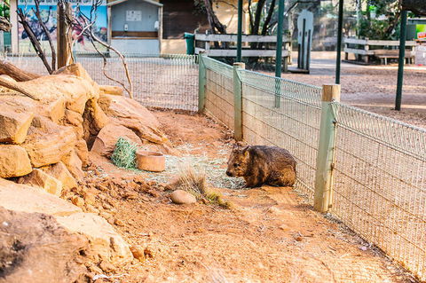 2-Day Combo: Sydney City Tour, Sydney Harbour Lunch Cruise And Blue Mountains Day Trip - Darwin Holiday 20