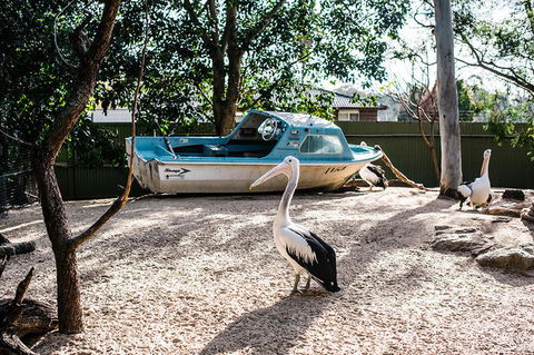 2-Day Combo: Sydney City Tour, Sydney Harbour Lunch Cruise And Blue Mountains Day Trip - Darwin Holiday 19