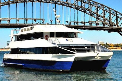 New Years Eve Fusion - Darwin Holiday 0