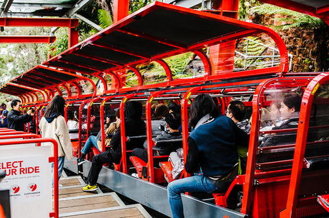 All-Inclusive Blue Mountains Day Trip With River Cruise - Darwin Holiday 7