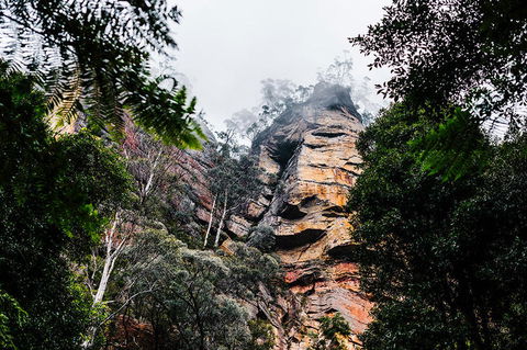 All-Inclusive Blue Mountains Day Trip With River Cruise - Darwin Holiday 3
