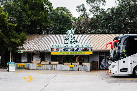 All-Inclusive Blue Mountains Day Trip With River Cruise - Darwin Holiday 19