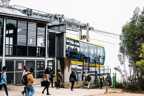 All-Inclusive Blue Mountains Day Trip With River Cruise - Darwin Holiday 9