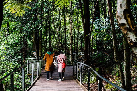 All-Inclusive Blue Mountains Day Trip With River Cruise - Darwin Holiday 10