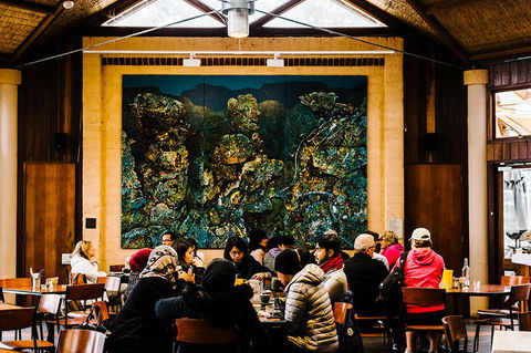 All-Inclusive Blue Mountains Day Trip With River Cruise - Darwin Holiday 13