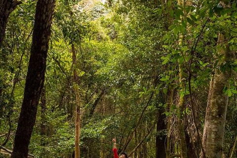 All-Inclusive Blue Mountains Day Trip With River Cruise - Darwin Holiday 26