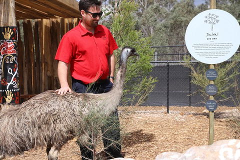 All-Inclusive Blue Mountains Day Trip With River Cruise - Darwin Holiday 24